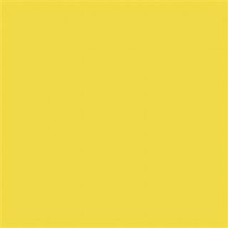 Poza Hpl Giallo PomPom .Sei - 463sei [1]