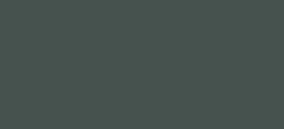 Poza Mdf Forest Green, 1 fata - 3027 [1]