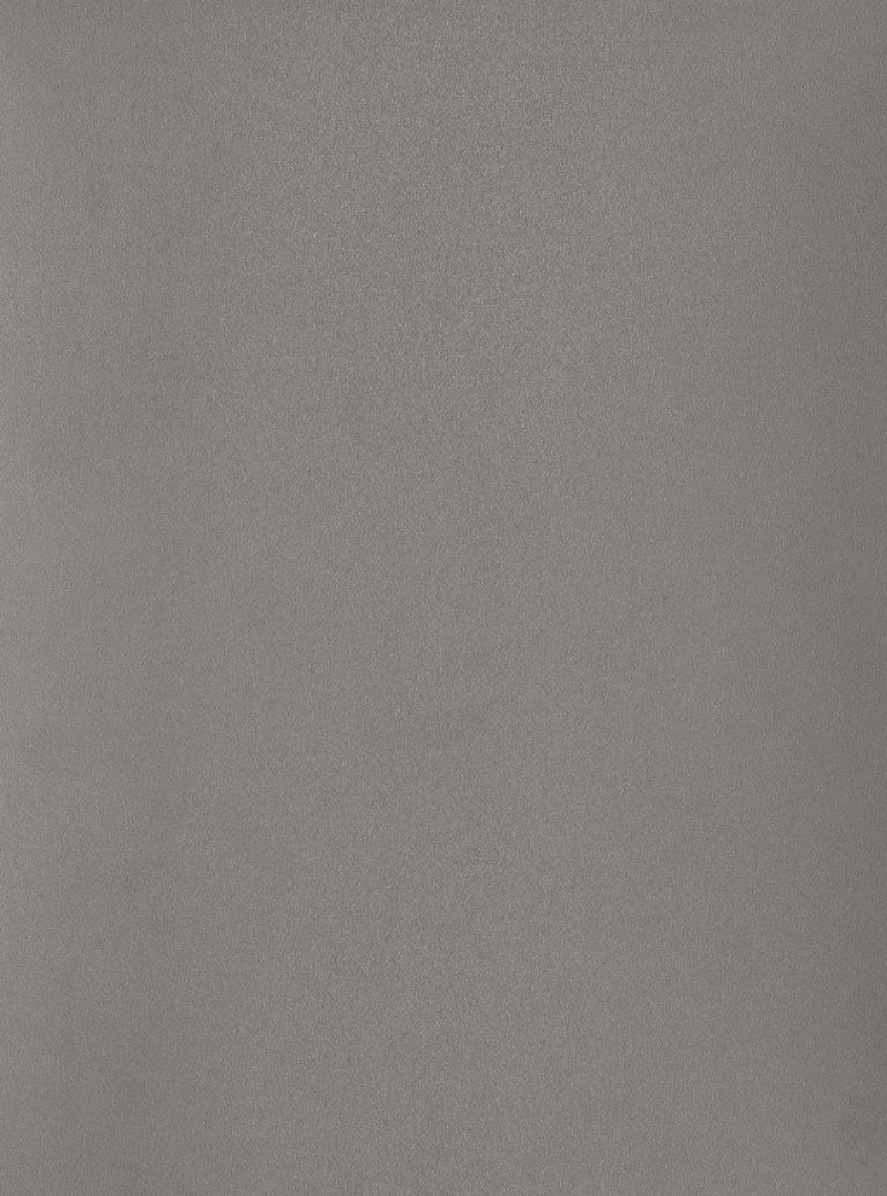 Poza Hpl Inox metalic .Metal Brushed - f500st20 [1]