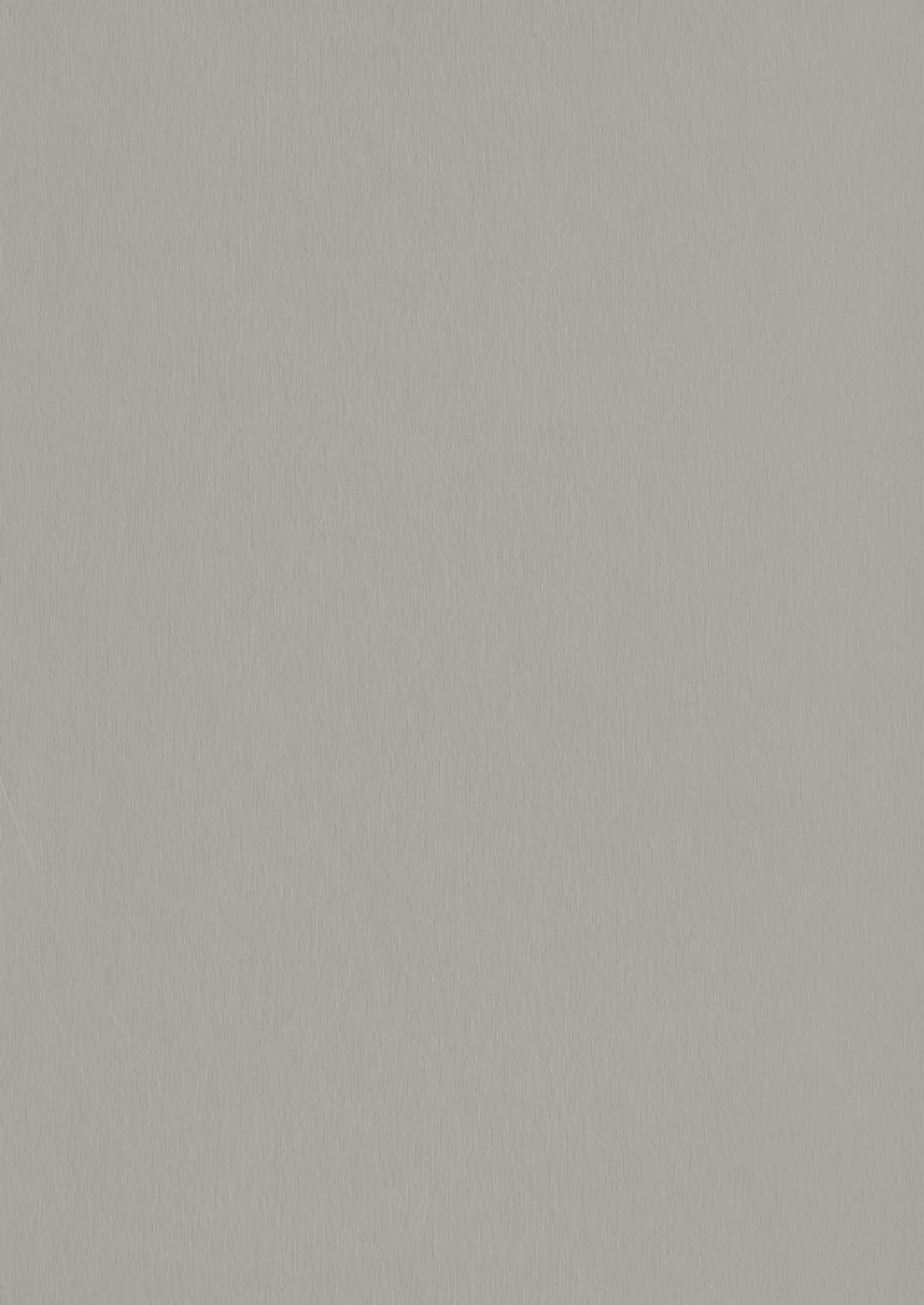 Poza Pal Gri argintiu periat .Metal Brushed - f765st20 [1]