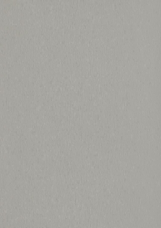 Poza Pal Gri argintiu periat .Metal Brushed - f765st20 [1]