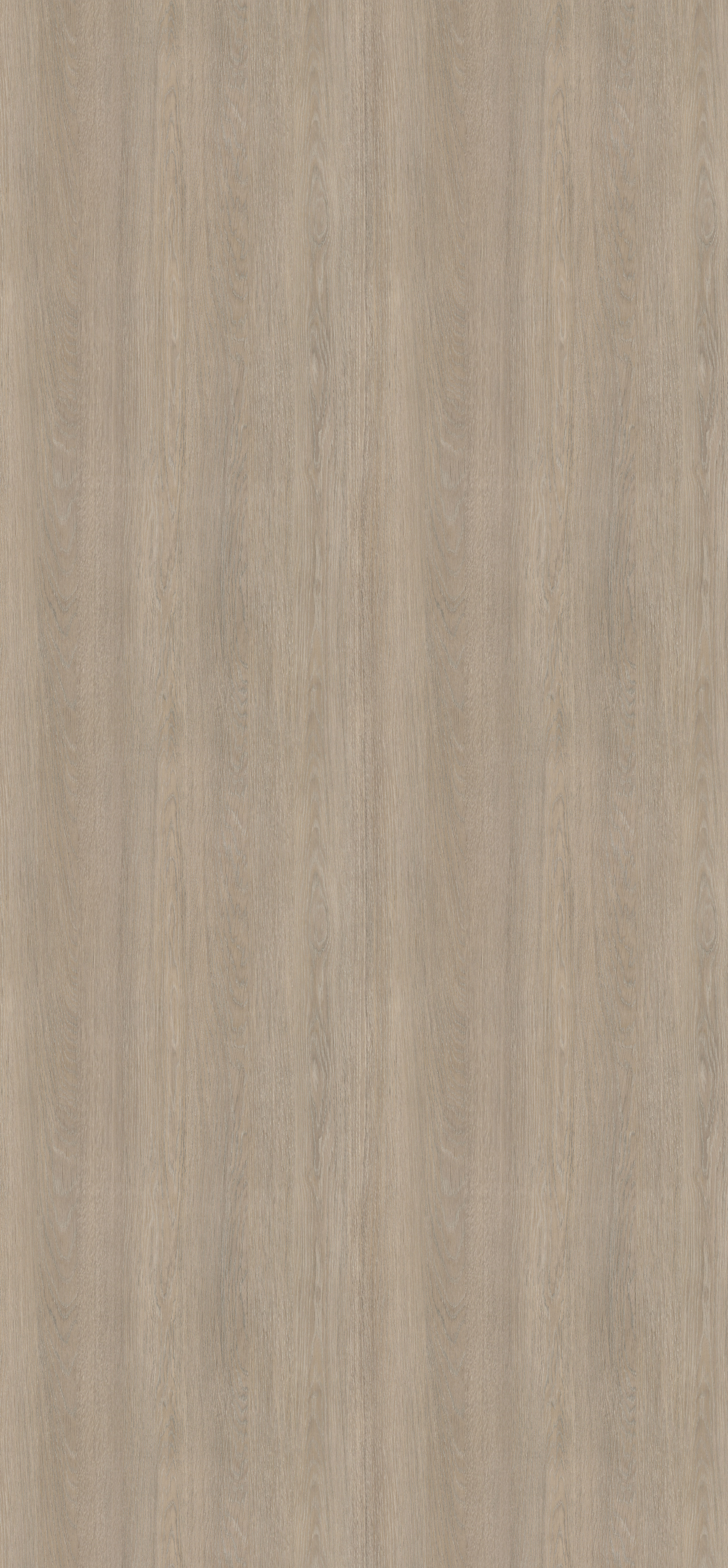 Poza Pal Stejar Lorenzo gri bej .Deepskin Excellent - h3146st19 [1]