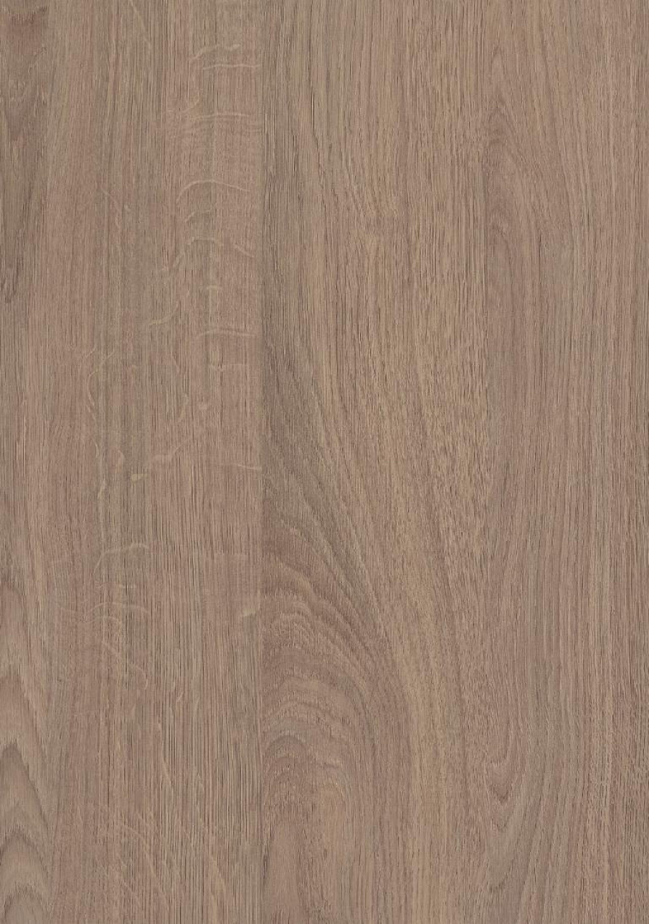Poza Cant Abs Stejar Corbridge gri .Omnipore Matt - h3156st12 [1]