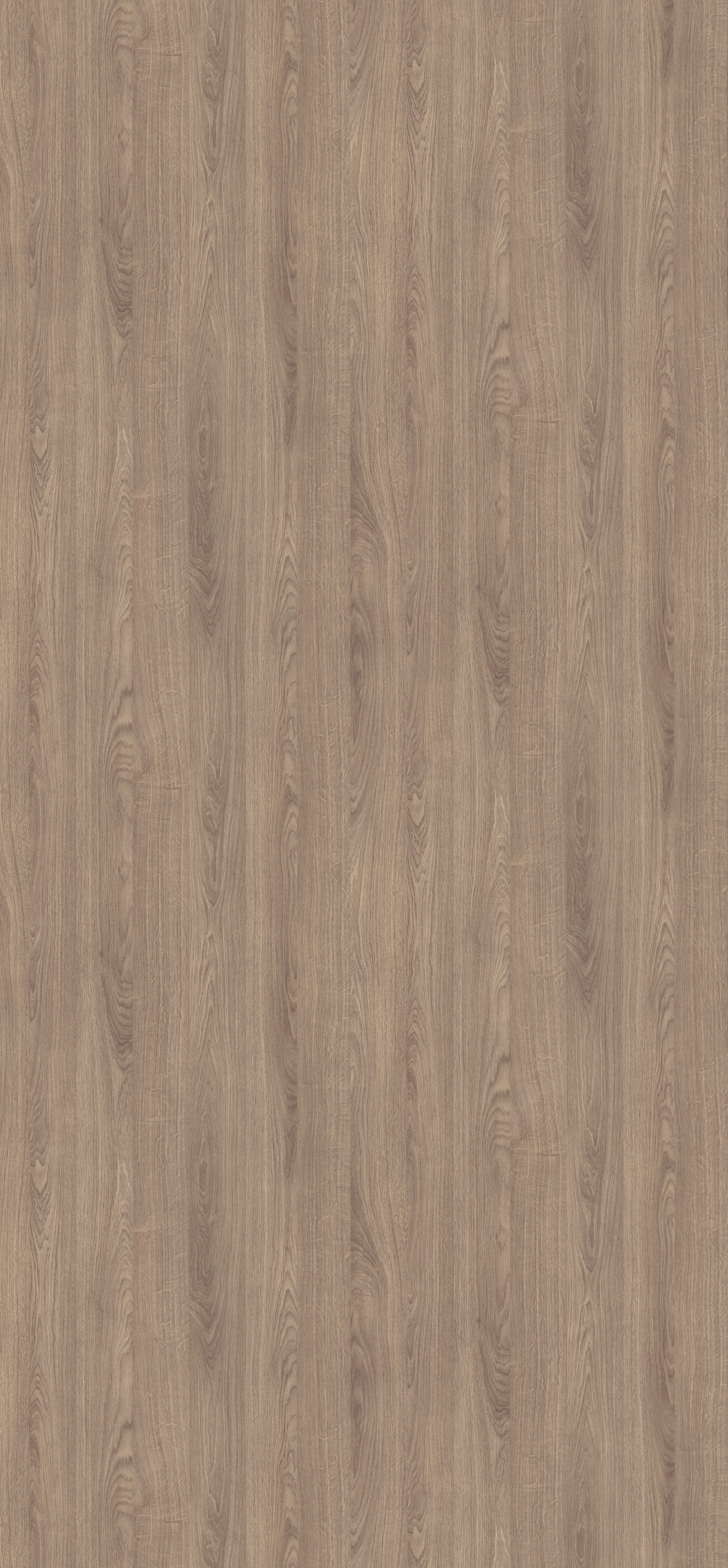 Poza Cant Abs Stejar Corbridge gri .Omnipore Matt - h3156st12 [1]