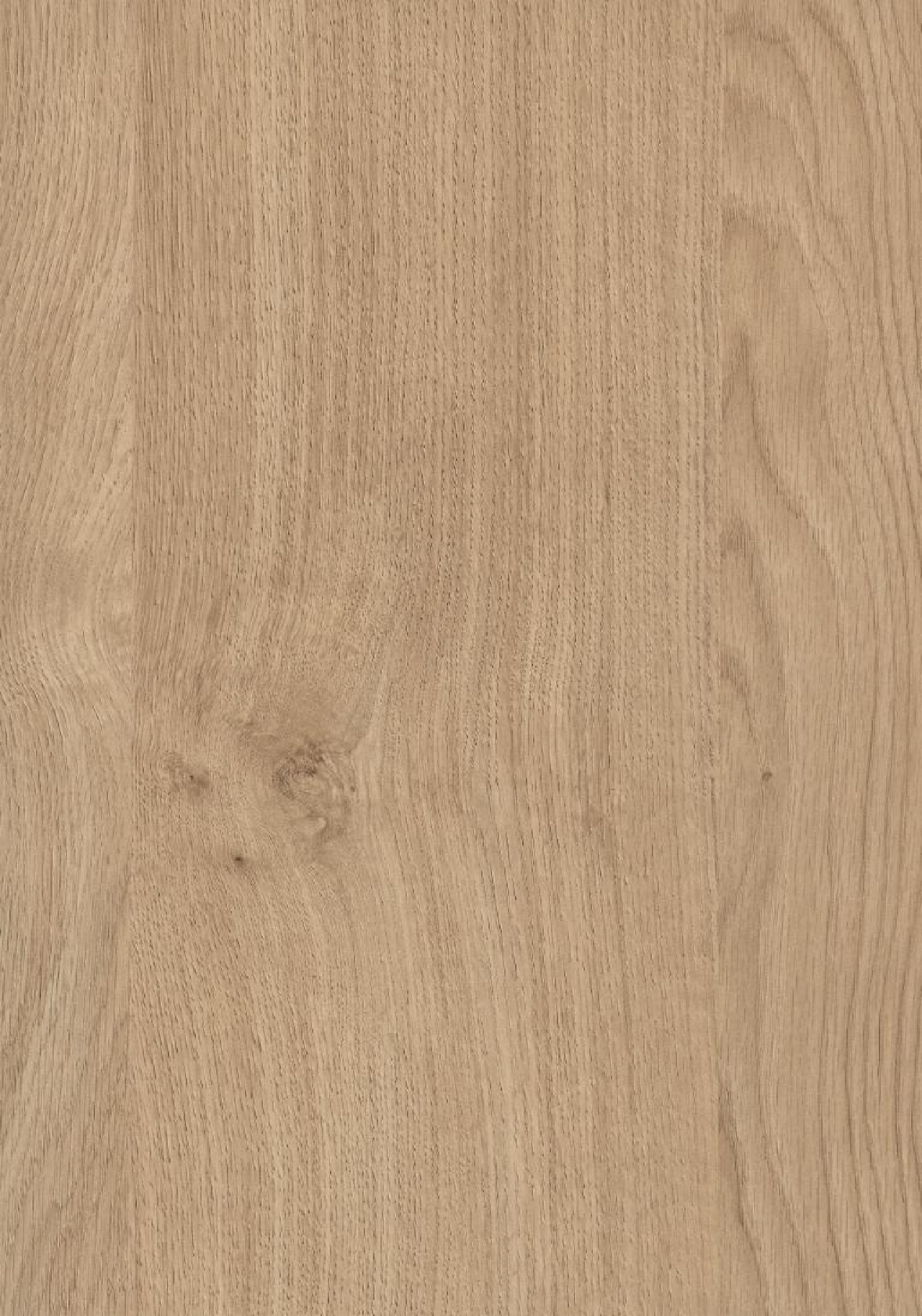 Poza Pal Stejar Kendal natur .Omnipore Matt - h3170st12 [1]