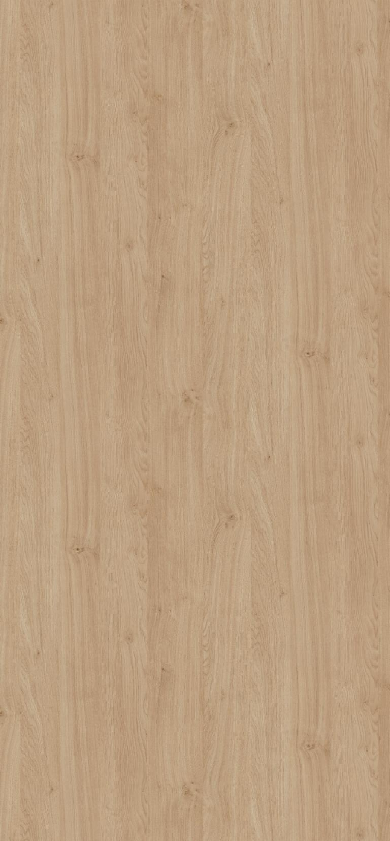 Poza Pal Stejar Kendal natur .Omnipore Matt - h3170st12 [2]