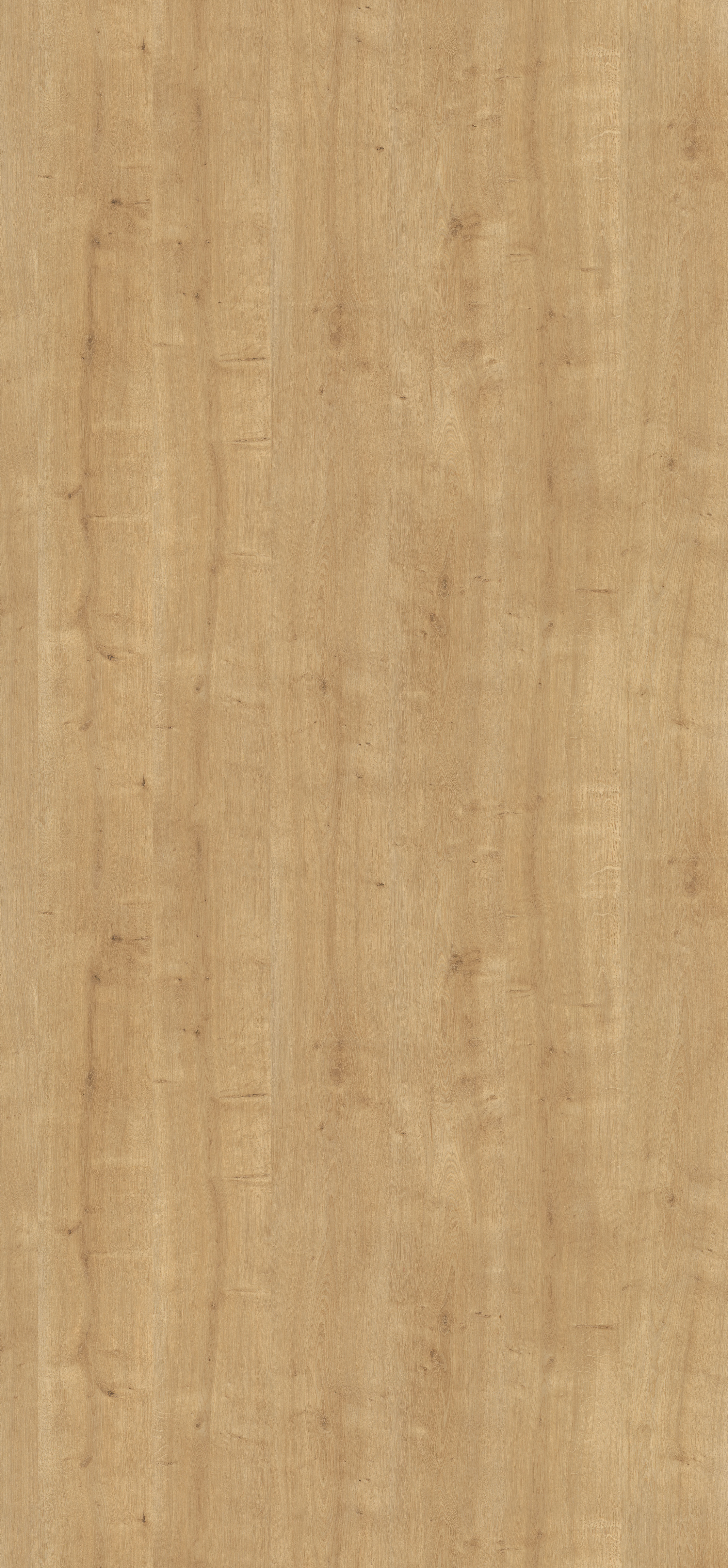 Poza Blat Stejar Hamilton natur .Deepskin Rough - h3303st10 [1]