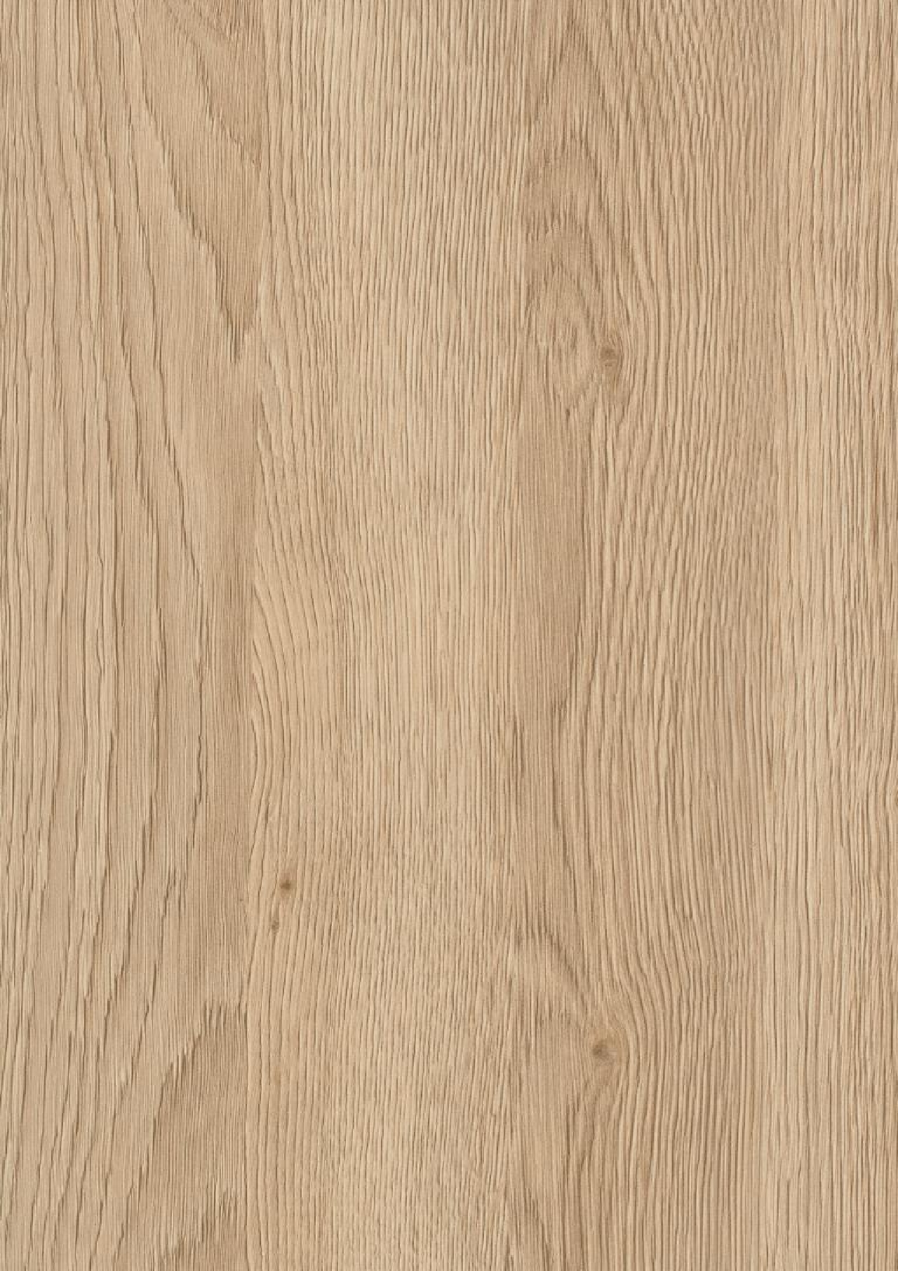 Poza Pal Stejar Gladstone nisip .Feelwood Nature - h3309st28 [1]