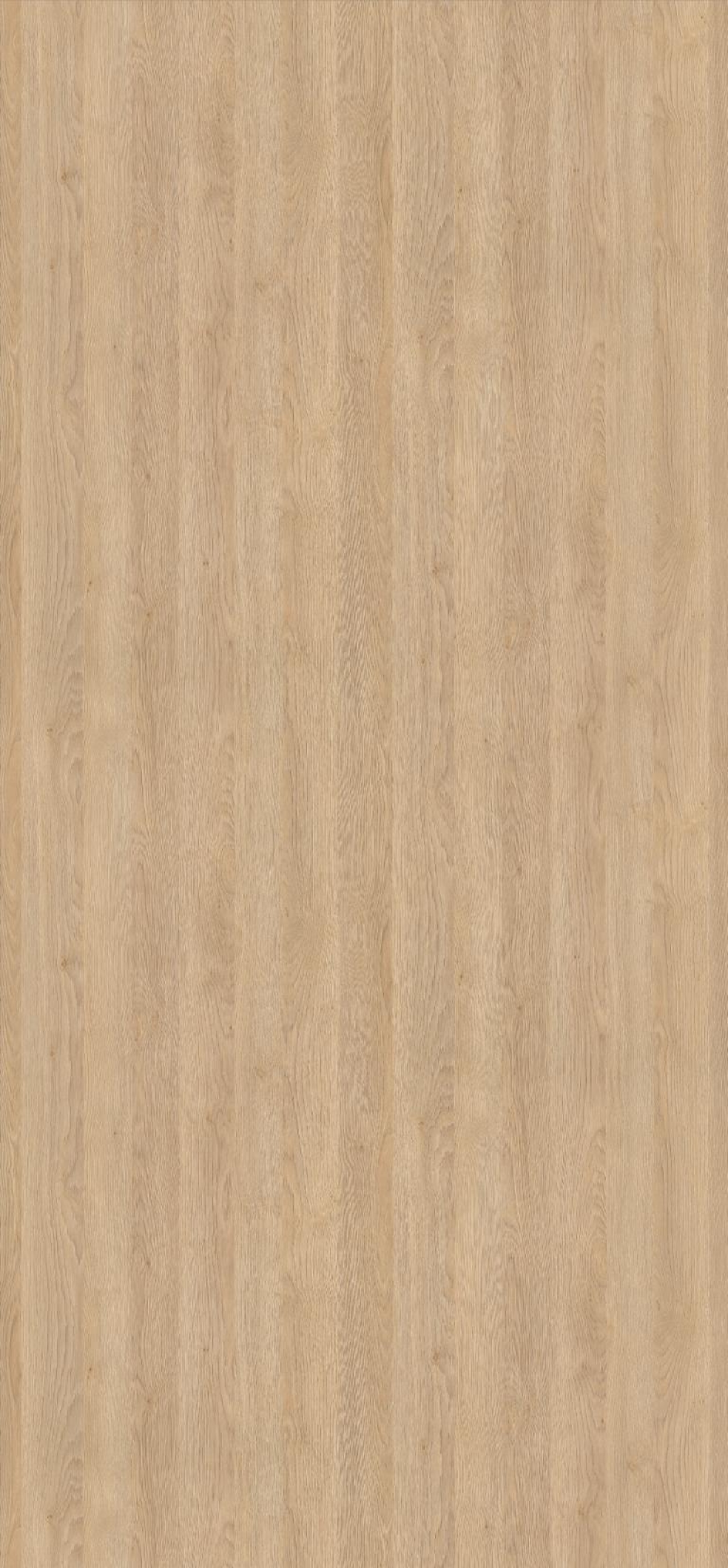 Poza Pal Stejar Gladstone nisip .Feelwood Nature - h3309st28 [2]