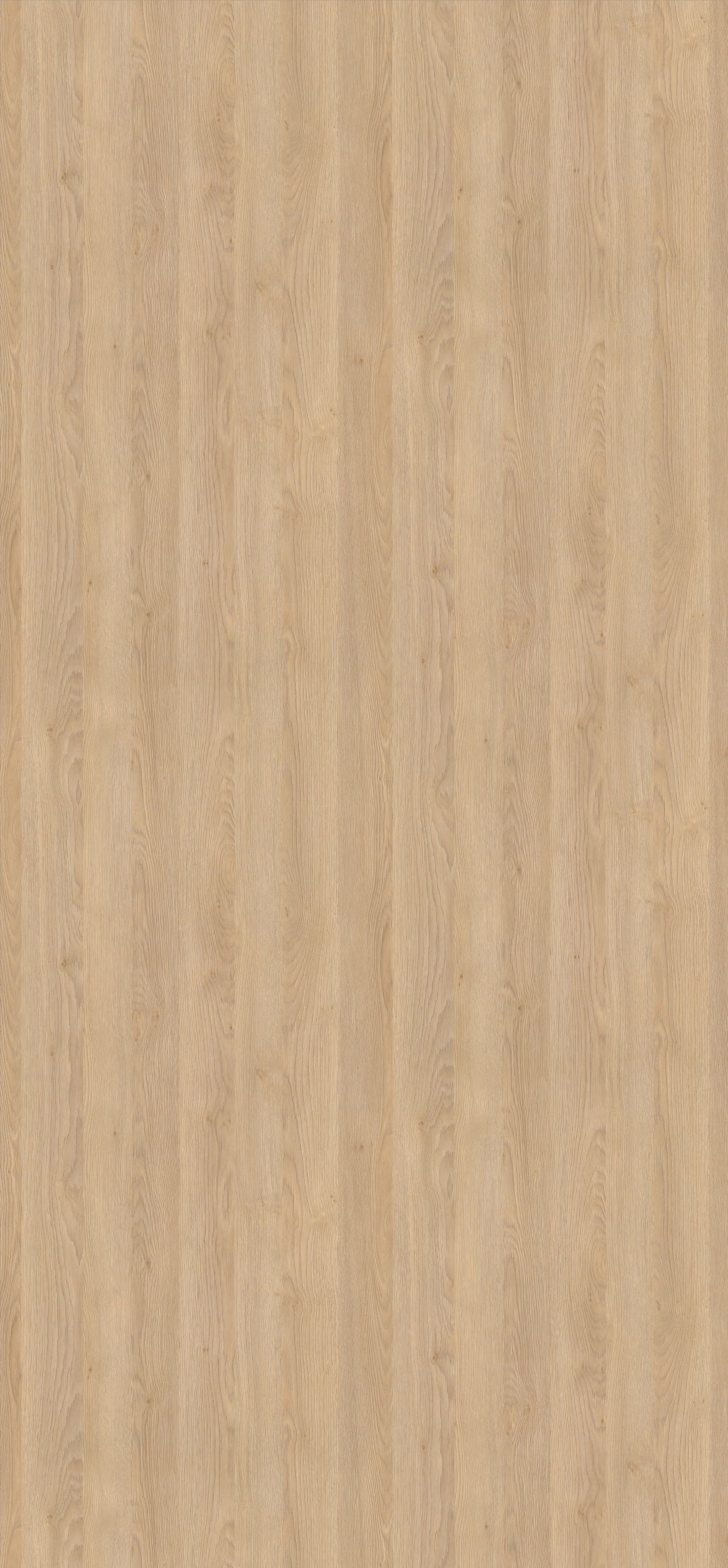 Poza Cant Abs Stejar Gladstone nisip .Feelwood Nature - h3309st28 [1]