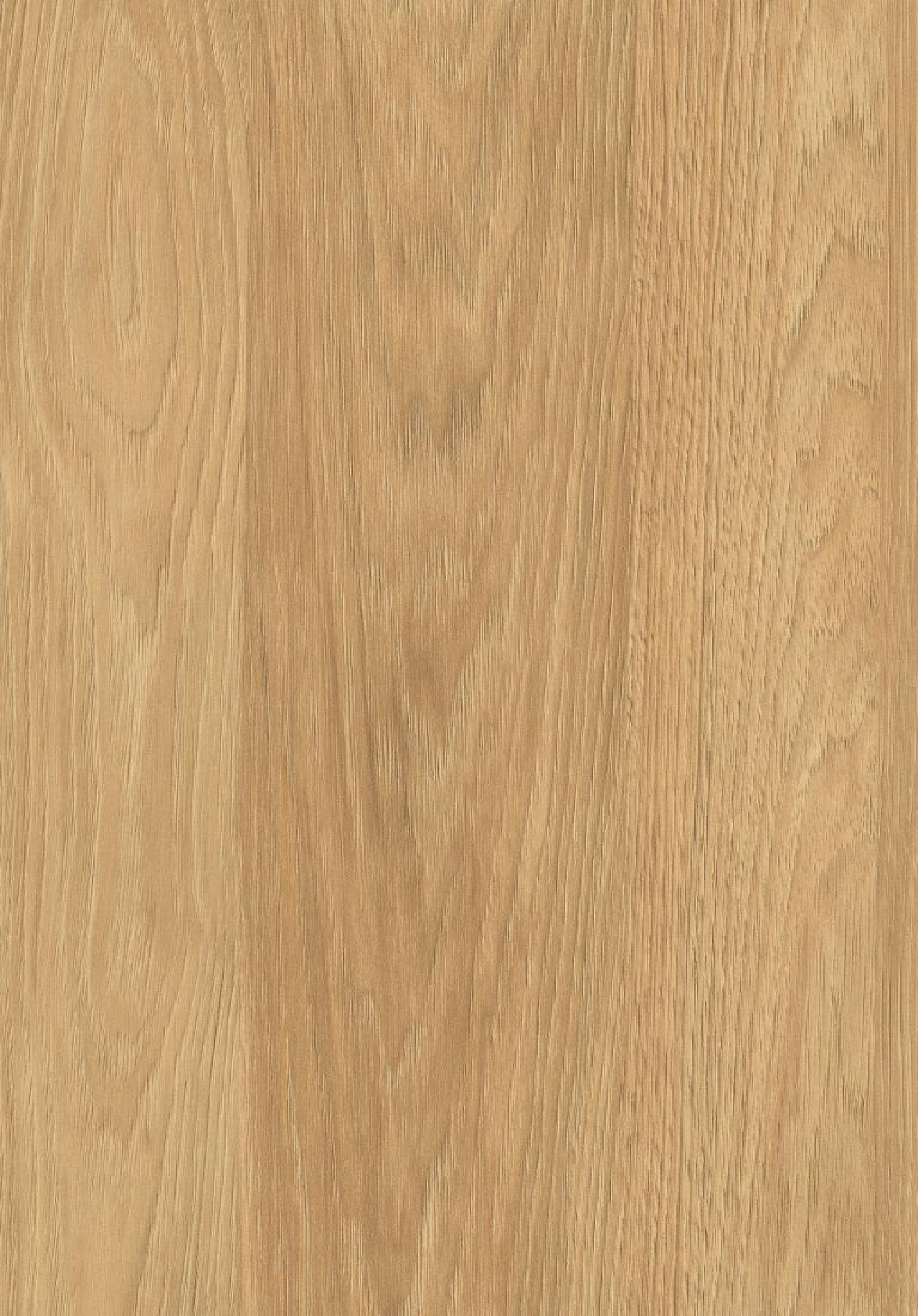 Poza Pal Hicori natur .Deepskin Rough - h3730st10 [1]