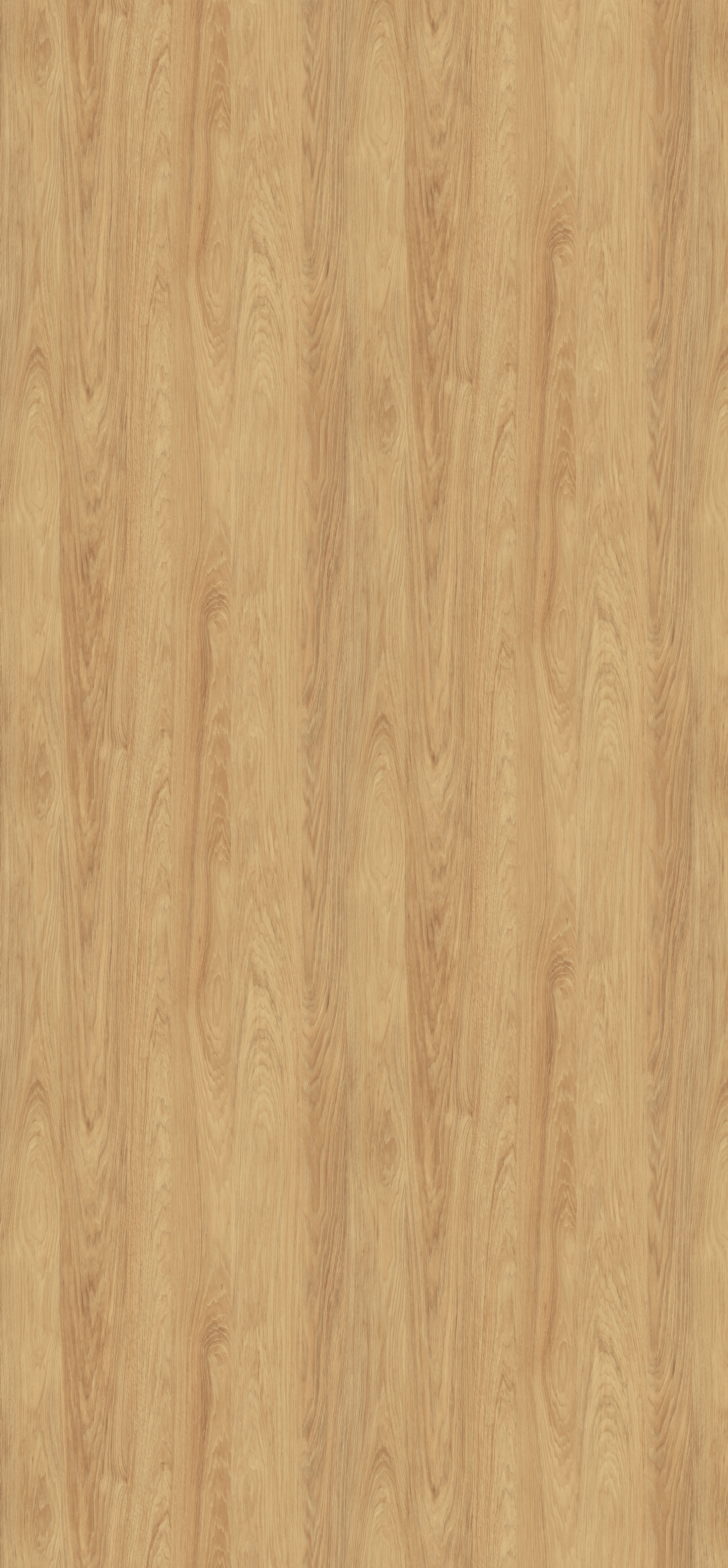 Poza Pal Hicori natur .Deepskin Rough - h3730st10 [1]