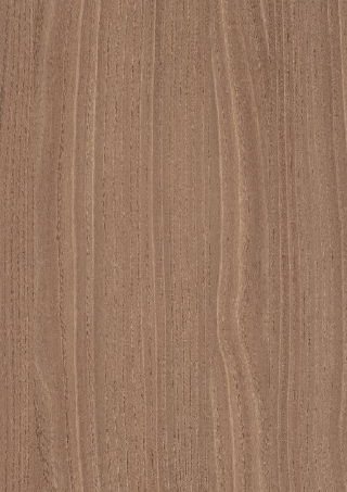 Poza Pal Bolivar Wood natur .Deepskin Excellent - h3786st19 [1]