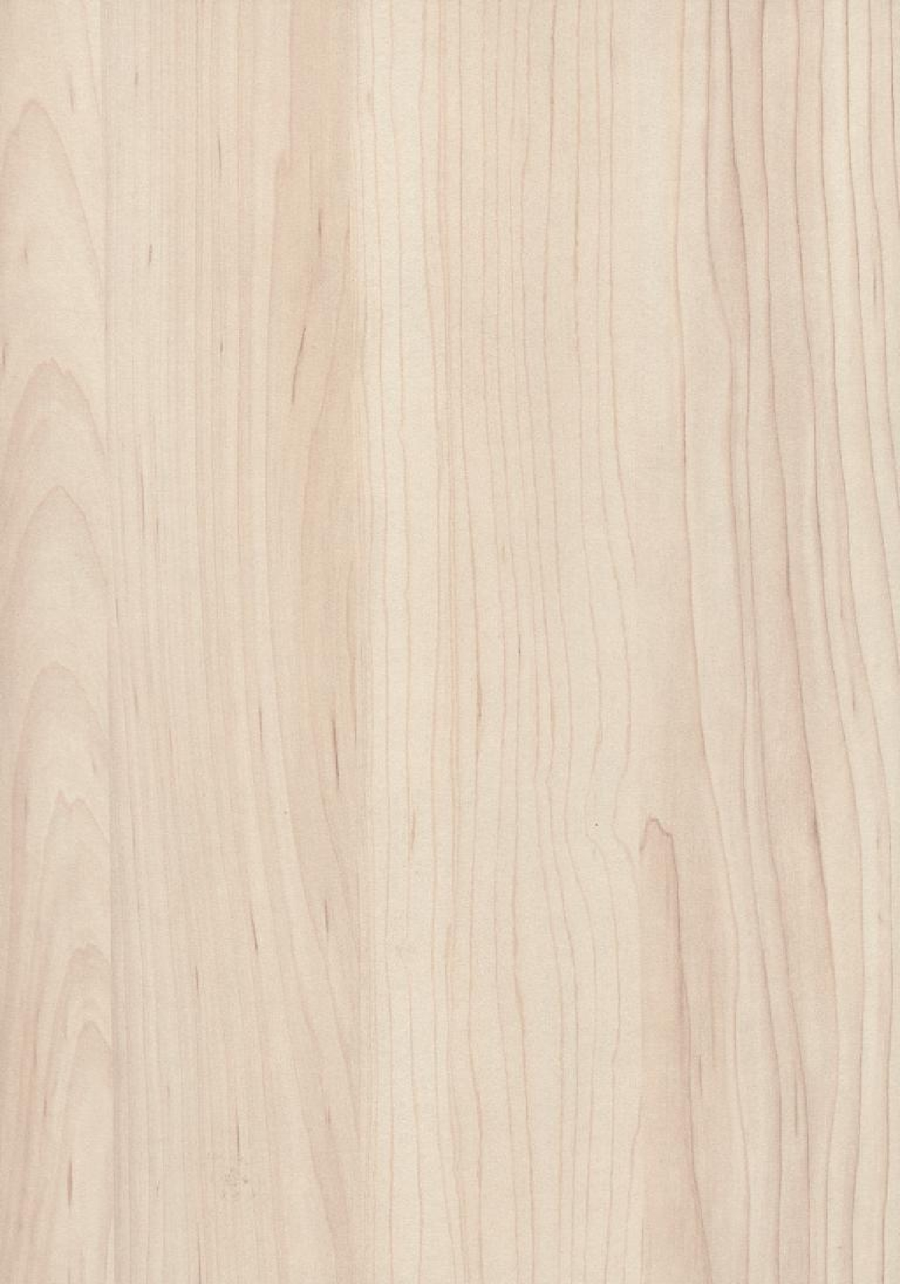 Poza Pal Artar dur champagne .Smoothtouch Matt - h3860st9 [1]