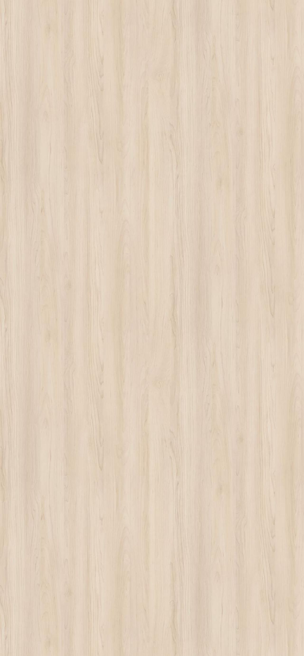 Poza Pal Artar dur champagne .Smoothtouch Matt - h3860st9 [2]