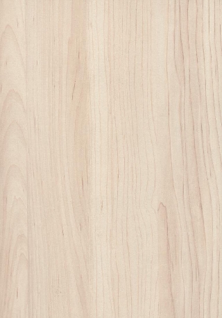 Poza Pal Artar dur champagne .Smoothtouch Matt - h3860st9 [1]
