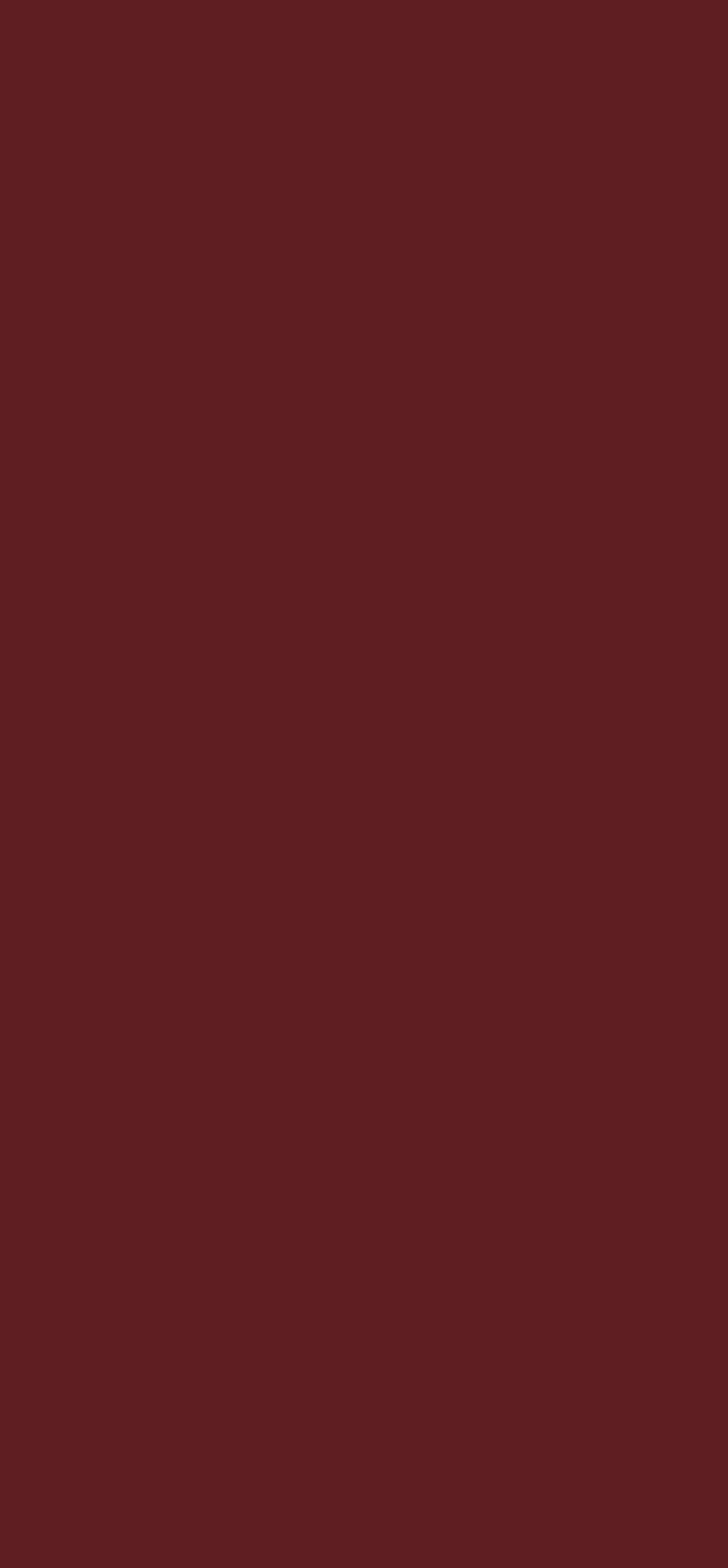 Poza Mdf Rosu Garnet .PerfectSense Premium Matt - u399pm [2]