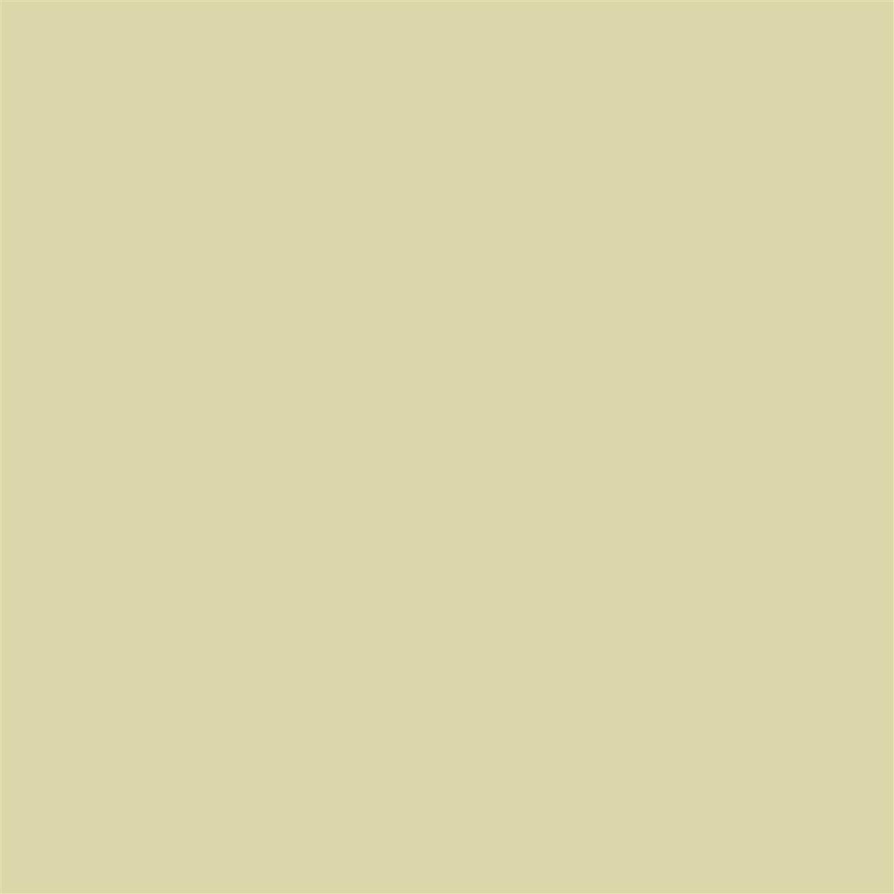 Poza Pal Wasabi .Smoothtouch Matt - u617st9 [1]