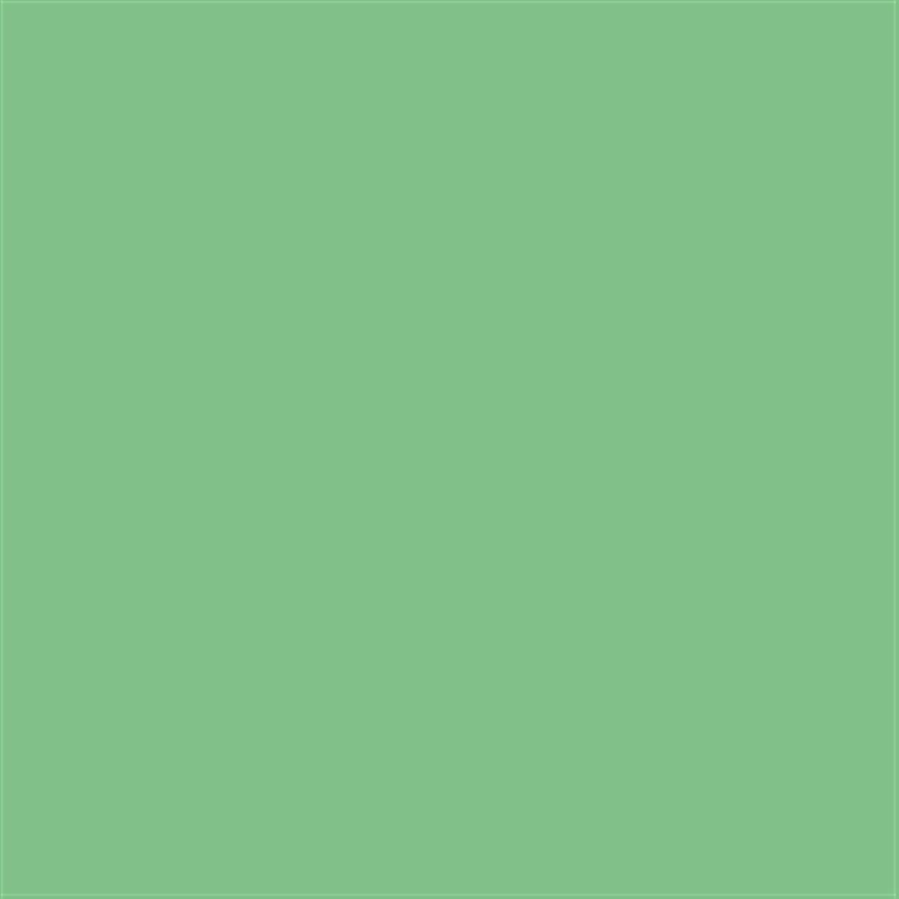 Poza Pal Verde crud - u622 [1]