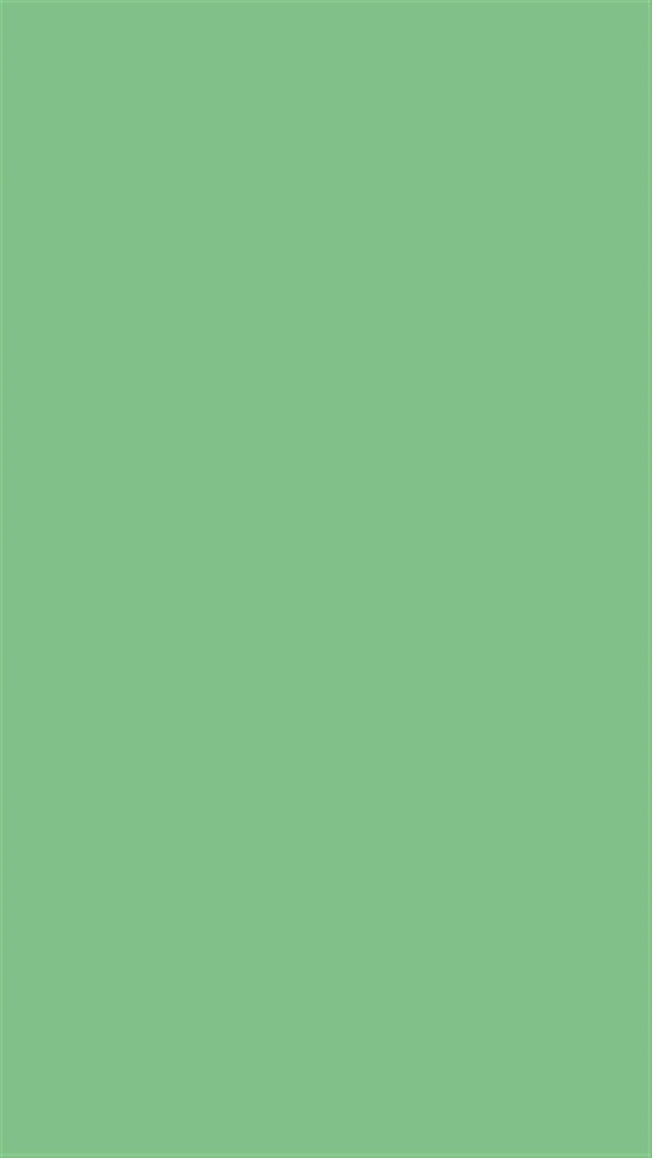 Poza Pal Verde crud - u622 [2]
