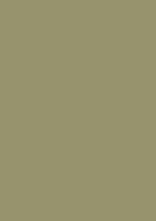 Poza Pal Verde oliv .Smoothtouch Matt - u640st9 [1]