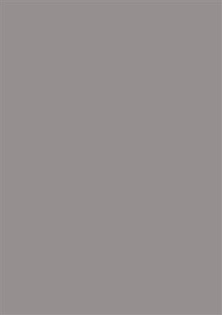 Poza Pal Gri arctic .Smoothtouch Matt - u788st9 [1]