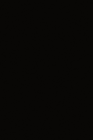 Poza Pal Black .Crystal - 200fs02 [1]