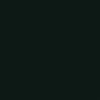 Poza Hpl Diamond Black .Matte 58 - f2253mat [1]
