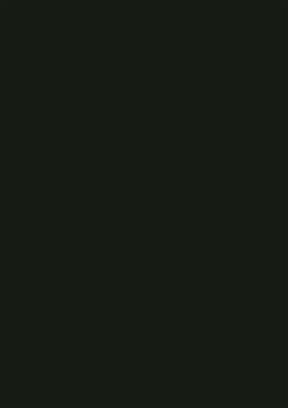 Poza Pal Negru .Supergloss - 0080sg [1]