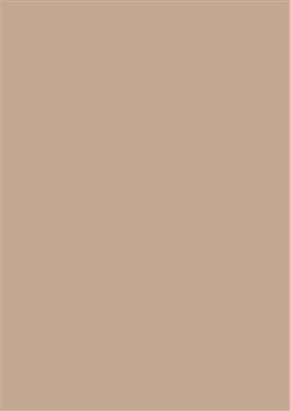 Poza Pal Capuccino .Fine Hammer Embossed - 0319fh [1]