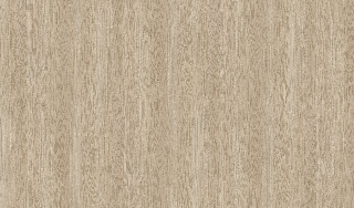 Poza Pal Loen Ash .Supergloss - 0607sg [1]