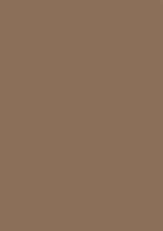 Poza Pal Tabacco .Fine Hammer Embossed - 0645fh [1]
