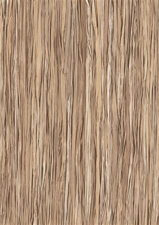 Poza Pal Savana natur .Structura - 0720su [1]