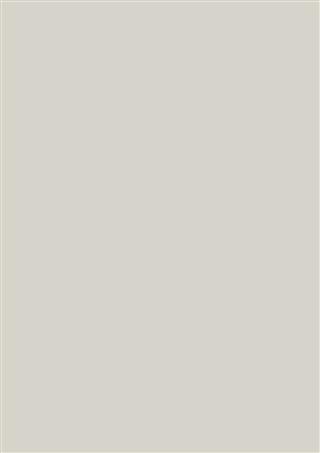 Poza Pal Gri .Supergloss - 0741sg [1]