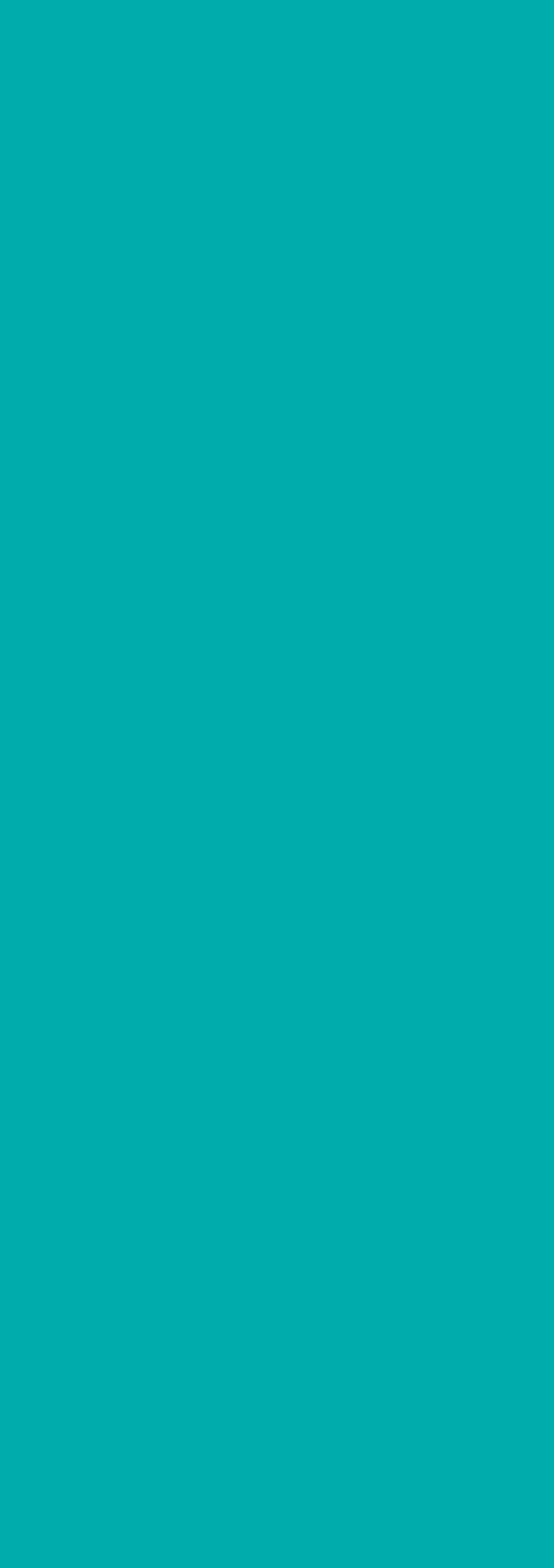 Poza Pal Frosted Teal .Fine Hammer Embossed - 0876fh [2]