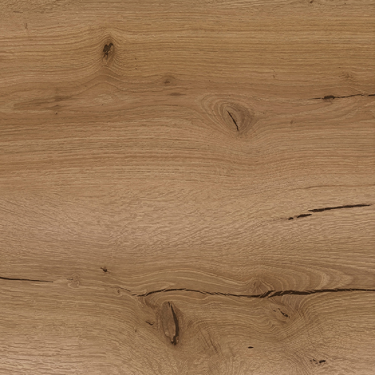 Poza Pal Stejar Charleston .Veneer - a458ps29 [1]