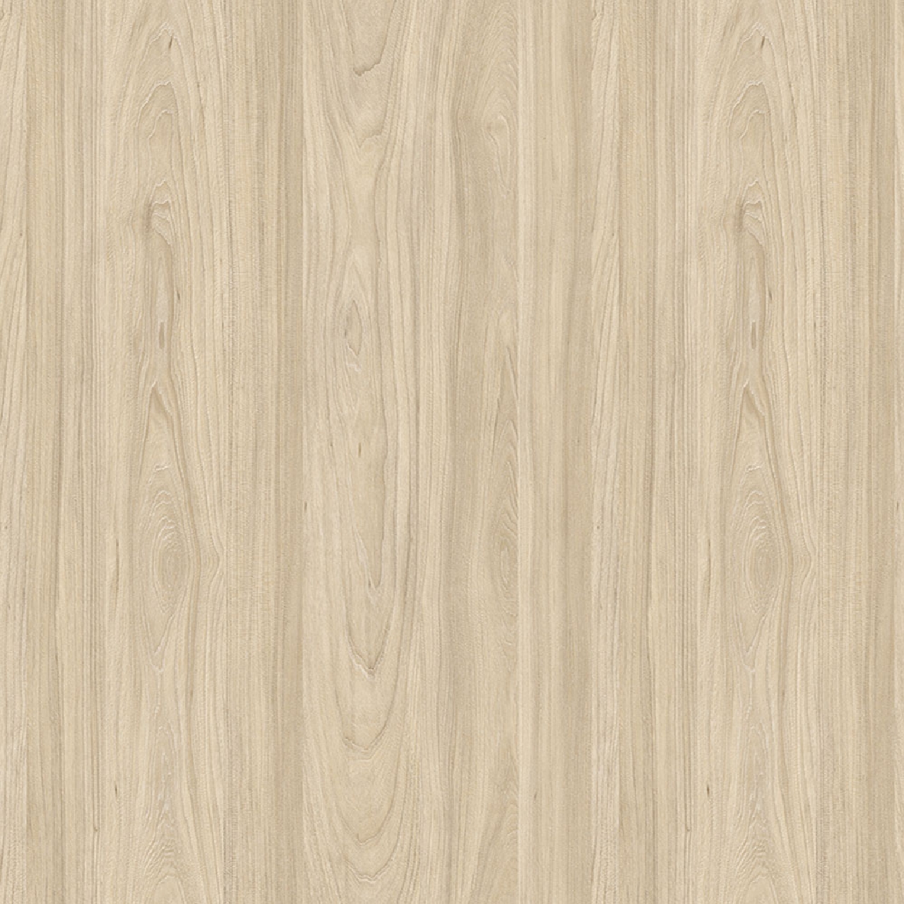 Poza Pal Ulm .Veneer - a845ps29 [1]