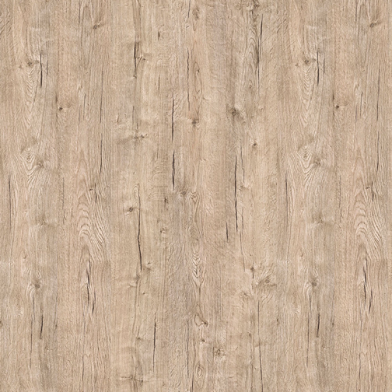 Poza Pal Stejar Sherwood .Freze - a865ps19 [1]