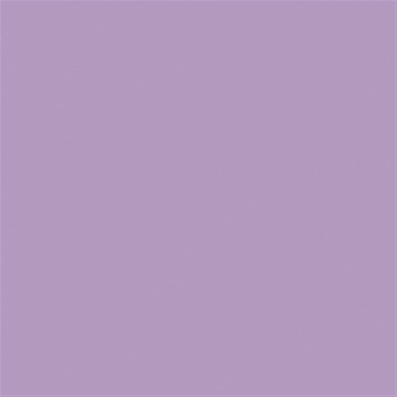 Poza Pal Violet .Office - d148ps11 [1]