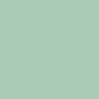 Poza Pal Jade .Paint - d171ps30 [1]