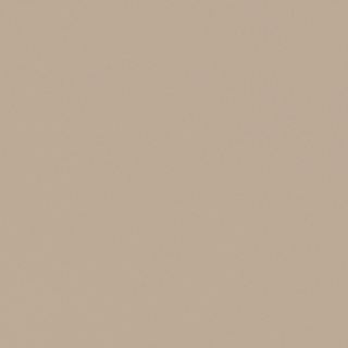 Poza Mdf Evogloss Soft Touch Mink - p008 [1]
