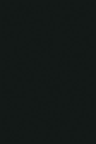 Poza Pal Black .Mirror Gloss - 0190mg [1]