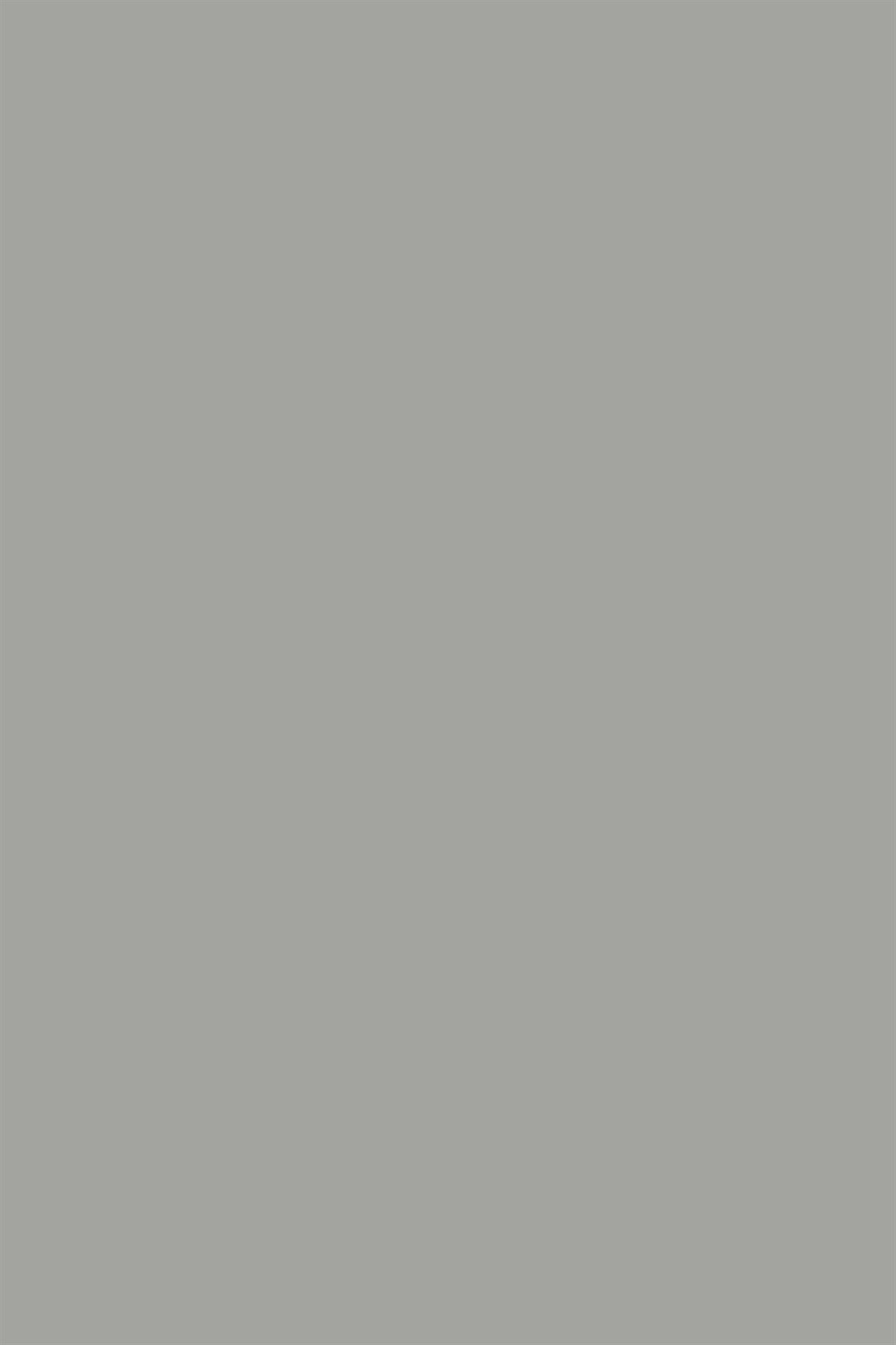 Poza Pal Chinchilla Grey .Bureau Structure - 0197bs [1]