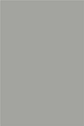 Poza Pal Chinchilla Grey .Bureau Structure - 0197bs [1]