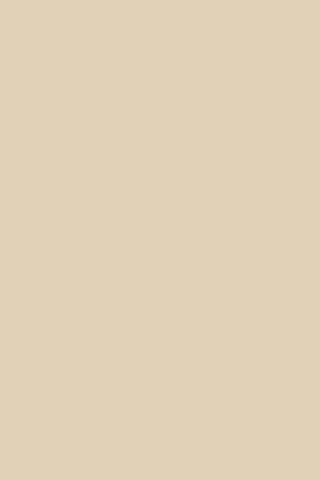 Poza Pfl Beige .Perl - 0522pe [1]