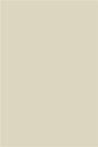Poza Pal Mussel .Bureau Structure - 5982bs [1]