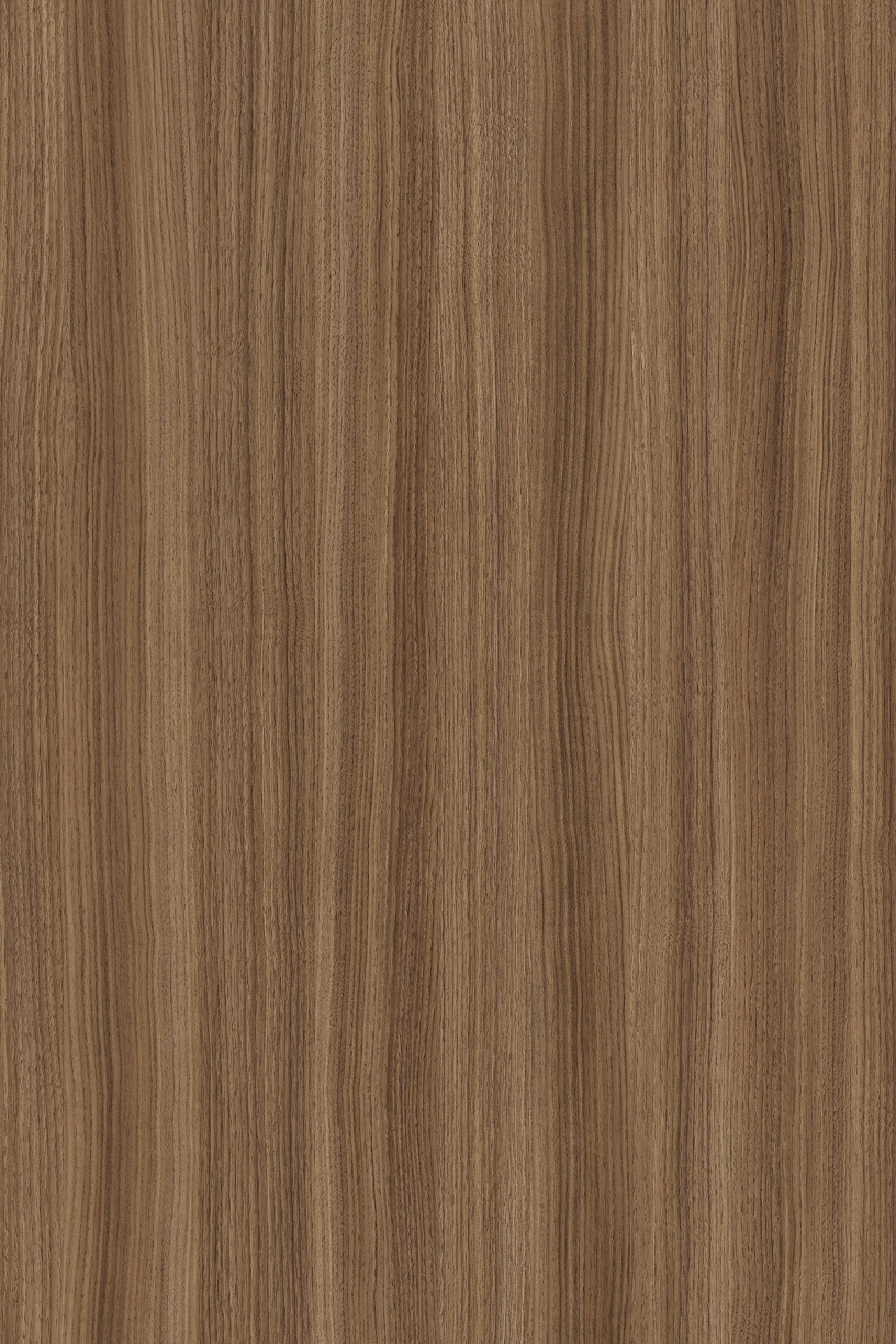 Poza Pal Caramel Franklin Walnut .Rift Wood - k546rw [1]