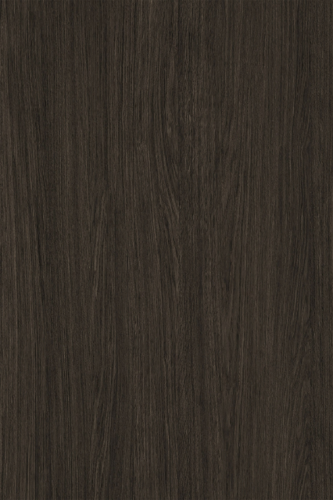 Poza Pal Cocoa Primavera Oak .Pure Wood - k697pv [1]