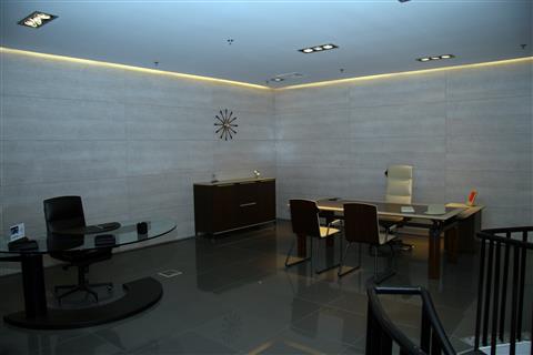 Poza Placare pal, mesteacan - opl070315 [1]