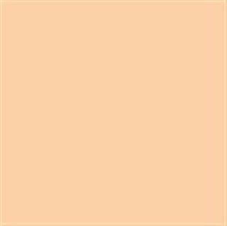 Poza Pal Pastel orange .Lucios - u052l [1]